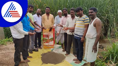 ರೈತರೇ ರಸಗೊಬ್ಬರ ಖರೀದಿಸುವ ಮುನ್ನ ಎಚ್ಚರ, ಬೆಳಗಾವಿಯಲ್ಲಿ ಸಿಕ್ತು ಮಣ್ಣು! 