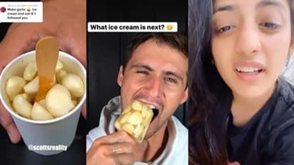 എന്തിന് ഇങ്ങനെ ചെയ്യുന്നു? വിചിത്രമായ ഐസ്ക്രീമിന് വിമര്‍ശനങ്ങള്‍...