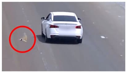 റോഡിലേക്ക് മാലിന്യങ്ങള്‍ വലിച്ചെറിഞ്ഞ 162 പേര്‍ പിടിയില്‍; ഇരുപതിനായിരം രൂപ പിഴ!