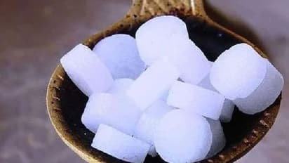 World Mosquito Day 2022 : കൊതുകിനെ തുരത്താൻ ഉപയോഗിക്കാവുന്ന ചില മാര്‍ഗങ്ങള്‍...