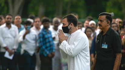 Congress releases 'Mile Kadam, Jude Vatan' tagline on Rahul Gandhi's 'Bharat Jodo Yatra'