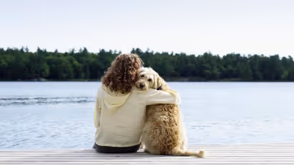 ಶನಿ ಕೇತು ದೋಷ ಕಳೆದುಕೊಳ್ಳಲು ಈ ಬಣ್ಣದ ನಾಯಿ ಸಾಕಿ..!