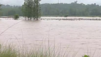 राजस्थान मानसून अपडेट: दो दिनों में 18 जिलों में भारी बारिश का अलर्ट, जानें क्या है आपके यहां का हाल