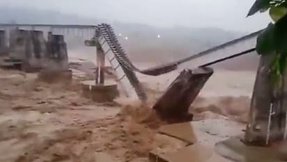 Railway bridge collapses due to heavy rainfall; spine-chilling video from Himachal goes viral