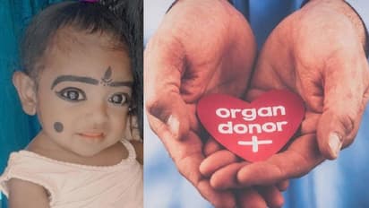 ഹൃതിക മോള്ക്ക് മുത്തശ്ശി കരൾ പകുത്തു നൽകും; സുമനസ്സുകളുടെ സഹായം തേടി കുടുംബം