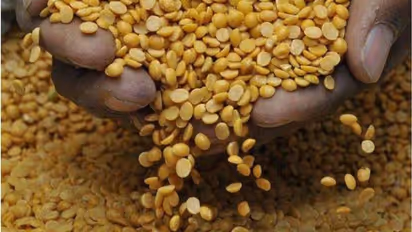  కందిపప్పును రోజూ తినడం వల్ల ఎన్ని లాభాలున్నాయో తెలిస్తే.. దీన్ని తినకుండా అస్సలు ఉండలేరు తెలుసా..