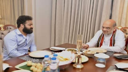 అమిత్ షాతో జూ. ఎన్టీఆర్ భేటీ: ఆంధ్ర సెటిలర్ల ఓట్లకు గాలం