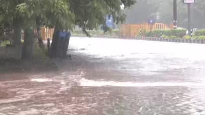 ಬಳ್ಳಾರಿ: ಆಂಧ್ರ ಗಡಿಭಾಗದಲ್ಲಿ ಭಾರೀ ಮಳೆ, ನದಿಯಲ್ಲಿ ಕೊಚ್ಚಿಹೋದ ಎತ್ತು