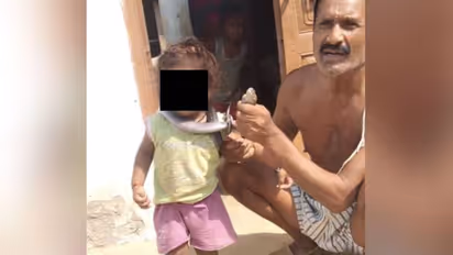 വിഷപ്പാമ്പിനെ പിടികൂടി കഴുത്തിലിട്ട് ​ഗ്രാമം ചുറ്റി പ്രദർശനം, ഒടുവിൽ പാമ്പ് കടിയേറ്റ് ദാരുണാന്ത്യം