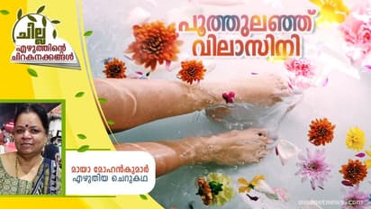 Malayalam Short Story : പൂത്തുലഞ്ഞ് വിലാസിനി, മായാ മോഹന്കുമാര് എഴുതിയ ചെറുകഥ