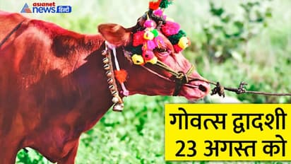 Govatsa Dwadashi 2022: 23 अगस्त को करें इन 4 में से कोई 1 उपाय, बिगड़ी किस्मत भी चमक उठेगी