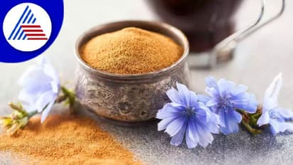 ಮಧುಮೇಹ ಕಾಡ್ಬಾರ್ದು ಅಂದ್ರೆ ಕೆಫೀನ್ ಮುಕ್ತ ಚಿಕೋರಿ ಕಾಫಿ ಕುಡೀರಿ