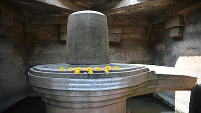 Bhadrapad Shivratri 2022: 25 अगस्त को शुभ योग में करें ये 5 उपाय, हर परेशानी रहेगी आपसे दूर