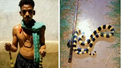 ವಿಡಿಯೋಗಾಗಿ ಮನೆಯಲ್ಲಿ ಹಾವು ಸಾಕಿದ youtuber ಬಂಧನ