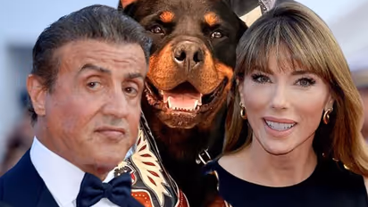 Sylvester Stallone, Jennifer Flavin divorce: Did a Rottweiler dog trigger the separation? Here's what we know