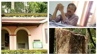 കൃഷ്ണഗിരിയിലെ അനധികൃത മരം മുറി; ഒത്താശ ചെയ്ത വില്ലേജ് ഓഫീസർക്ക് സസ്പെൻഷൻ