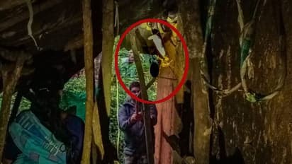 കുട്ടികൾ മാത്രമുള്ള വീടിനുള്ളിൽ രാജവെമ്പാല; ഭീതിയുടെ ഒന്നര മണിക്കൂര്, ഒടുവിൽ...