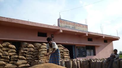 പത്തായം നിറയുന്നു; എട്ട് വർഷത്തിനിടയിലെ ഏറ്റവും ഉയർന്ന നിലയിൽ ഭക്ഷ്യധാന്യ ഉൽപാദനം, വൻ വർധന