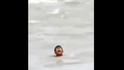 मगरमच्छों से भरी नदी में डूब रहे लड़के का भयावह वीडियो हुआ वायरल, जानिए SDRF की कोशिश सफल हुई या नाकाम 
