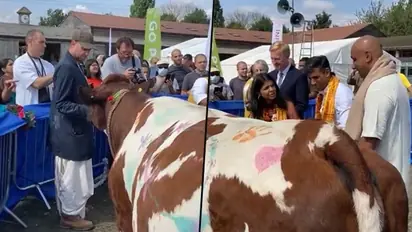 Watch: Rishi Sunak, wife Akshata Murthy perform ‘gau pooja’ in London, video goes viral