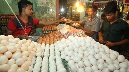 ಕೋಳಿ ಆಹಾರ ಬೆಲೆ ಹೆಚ್ಚಿಳ ಎಫೆಕ್ಟ್: ಮೊಟ್ಟೆ ದರ ದಿಢೀರ್‌ ಏರಿಕೆ..!