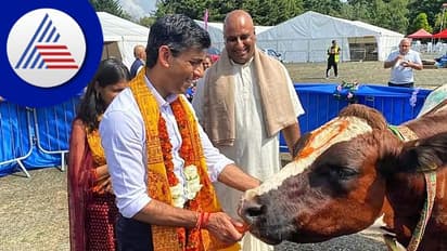 ಲಂಡನ್‌ನಲ್ಲಿ ಗೋ ಪೂಜೆ ಮಾಡಿ ಭಾರತೀಯರ ಹೃದಯ ಗೆದ್ದ Rishi Sunak