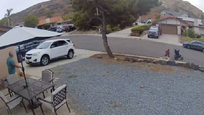 പട്ടിയെ രക്ഷിക്കാൻ കുട്ടിയെ കൈവിട്ടു; ആശങ്കനിറച്ച് വീഡിയോ