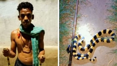 Youtuber Arrested : യൂട്യൂബ് ചാനല്‍ വീഡിയോകള്‍ക്കായി മൂര്‍ഖനടക്കമുള്ള പാമ്പുകള്‍ കൈവശം; യുവാവ് കുടുങ്ങി