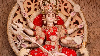 Pithori Amavasya 2022: पिथौरी अमावस्या 27 अगस्त को, इस दिन करते हैं देवी दुर्गा की पूजा, जानिए विधि और महत्व