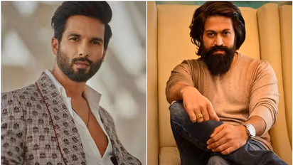 ನಂಬರ್ 1 ನಟ ಯಶ್; 'ಕೆಜಿಎಫ್' ಸ್ಟಾರ್ ಬಗ್ಗೆ ಬಾಲಿವುಡ್ ನಟ ಶಾಹಿದ್ ಕಪೂರ್ ಹೇಳಿದ್ದು ಹೀಗೆ