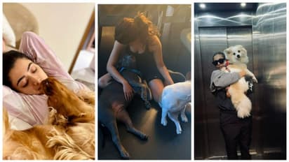 International Dog Day : சமந்தா முதல் ராஷ்மிகா மந்தனா வரை..நாய் பிரியர்களாக இருக்கும் பிரபலங்களின் பட்டியல் இதோ