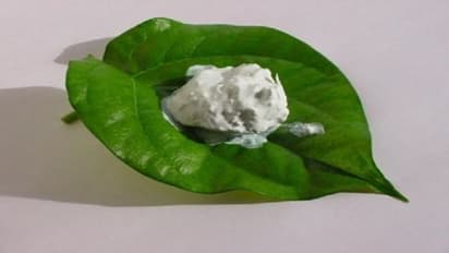 ವೀಳ್ಯದೆಲೆ ಜತೆ ತಿನ್ನುವ ಸುಣ್ಣ ಡೇಂಜರ್, ನಿಷೇಧಿಸುವಂತೆ ಒತ್ತಾಯಿಸಿದ ಡಾಕ್ಟರ್ಸ್