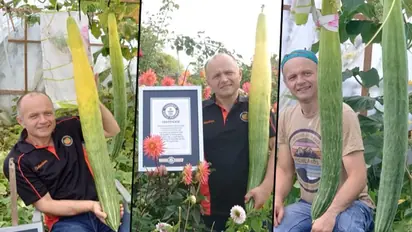 Watch: viral video shows UK man with World's longest home-grown cucumber