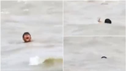 കുത്തിയൊലിച്ച പുഴയിൽ അകപ്പെട്ട് കുട്ടി, പാഞ്ഞടുത്ത് മുതലക്കൂട്ടം, അലറിക്കരഞ്ഞ് കുട്ടി; അത്ഭുത രക്ഷപ്പെടുത്തൽ!