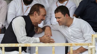 Congress President election to be held on October 17, counting on October 19: All you need to know