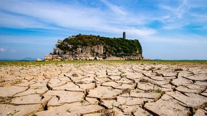 Shocking! IMD data shows 125 districts in India grappling with drought