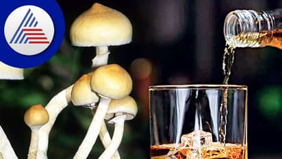 ಮಶ್ರೂಮ್‌ ಸೇವನೆಯಿಂದ ಅಲ್ಕೋಹಾಲ್ ಅಡಿಕ್ಷನ್ ನಿಲ್ಲಿಸಬಹುದಾ ?