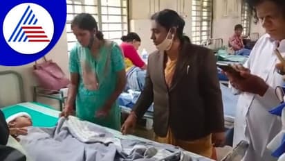 ಉಡುಪಿಯಲ್ಲಿ ಹೆಚ್ಚಿದ ಬೀದಿ ನಾಯಿಗಳ ಕಾಟ: ಬಾಲಕಿಯ ಮೇಲೆ ಅಟ್ಯಾಕ್