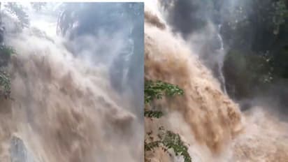 'കുത്തിയൊലിച്ച് ഭീകര രൂപം പൂണ്ട്' കരുവാരക്കുണ്ടിൽ അപ്രതീക്ഷിത മലവെള്ളപ്പാച്ചിൽ- വീഡിയോ