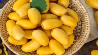 কাঁচা খেজুর খুবই উপকারী, পাকা খেজুরের থেকে কোনও অংশে কম নয়