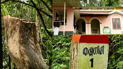 കൃഷ്ണഗിരിയിലെ അനധികൃത മരമുറി: മേപ്പാടി റേഞ്ചിൽ വീണ്ടും മരംമുറി നടന്നത് ഗുരുതര വീഴ്ചയെന്ന് പിസിസിഎഫ്