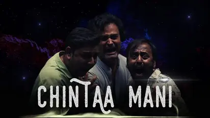 Chintaa Mani Review: An out-of-the-box concept packaged in a believable story