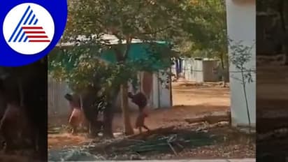 ದೇಗುಲದ ಆನೆಗೆ ಮಾವುತರಿಂದ ಹಿಂಸೆ: ಆನೆಯ ಬಿಡುಗಡೆಗೆ ಪೇಟಾ ಆಗ್ರಹ