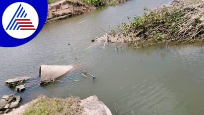 Mandya: ಭಾರೀ ಮಳೆಗೆ ಕೊಚ್ಚಿ ಹೋದ ಸೇತುವೆ: ರಸ್ತೆ ಸಂಪರ್ಕ ಕಡಿತ