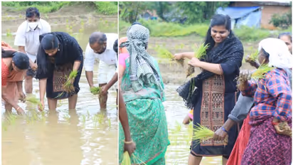 പാടത്തിറങ്ങി ഞാറ് നട്ട്, കമ്പളനാട്ടിയിൽ തകർപ്പൻ ചുവടുവെച്ച് സബ് കളക്ടർ; കയ്യടിച്ച് ഒപ്പം കൂടി ഗ്രാമം