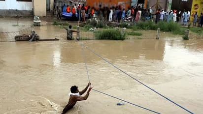 ஜோம்பி பனி மலைகள் உருகி கடல் மட்டம் உயரும் அபாயம்; காரணம் என்ன?