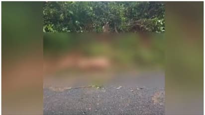 കൊല്ലം അച്ചൻകോവിലിൽ കാട്ടാന ആക്രമണം, ചെമ്പനരുവിയിൽ യുവാവിനെ കാട്ടാന ചവിട്ടിക്കൊന്നു