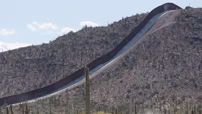 മരുഭൂമിയിൽ ഉപേക്ഷിക്കപ്പെട്ട നിലയിൽ കുഞ്ഞുങ്ങൾ