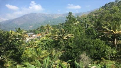 Landslide in Kerala's Idukki kills 5 of family, all bodies recovered: Report