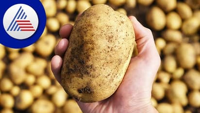 உருளைக் கிழங்குகளை வெறுக்காதீர்கள்- இருதய நன்மைக்கு கிடைக்கும் அற்புதம்..!!